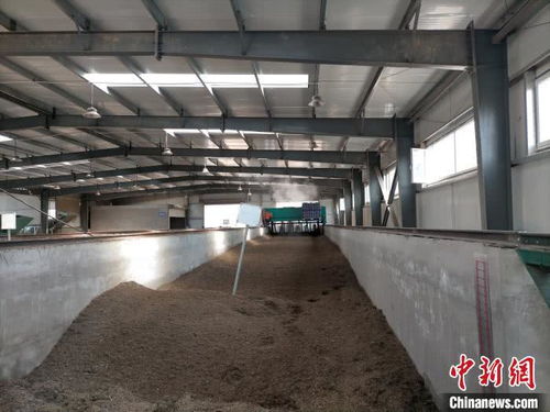 山西太原 園林垃圾資源化再利用，綠廢“變身”科創產品